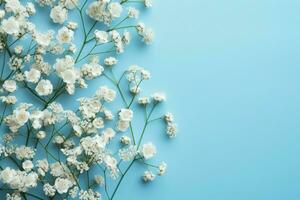 ai generado babys aliento belleza blanco Gypsophila en un calma azul fondo foto