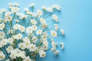 ai generado babys aliento belleza blanco Gypsophila en un calma azul fondo foto