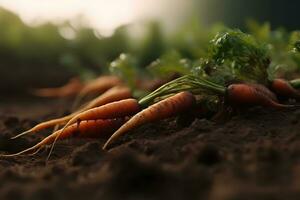 AI generated Ripe carrots harvested at a vegetable farm. carrot harvest and cultivation concept. Neural network AI generated photo