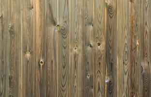 Old grunge dark brown wood panel pattern with beautiful abstract grain surface texture, vertical striped background or backdrop in architectural material decoration concepts, vintage or retro style photo
