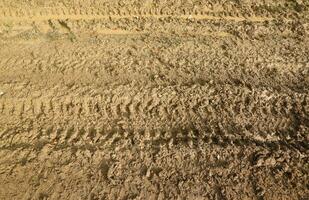 Wheel track on mud. Traces of a tractor or heavy off-road car on brown mud in wet meadow photo