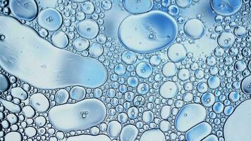 abstrakt färgrik mat olja droppar bubblor och sfärer strömmande på vatten yta video