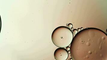 Abstract Colorful Food Oil Drops Bubbles and spheres Flowing on Water Surface video