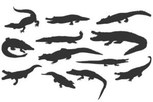 Set of crocodile silhouette, reptile, alligator, predator vector