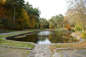 hermosa naturaleza otoño paisaje con lago. paisaje ver en otoño ciudad parque con dorado amarillo follaje en nublado día foto