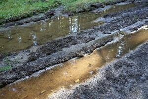 Muddy tracks with puddles on wet muddy surface in forest path photo