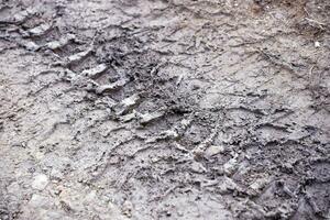 Wheel track on mud. Traces of a tractor or heavy off-road car on brown mud in wet meadow photo