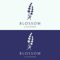 Blooming lavender organic flower logo template design. Logo for cosmetics, beauty, botany, perfume and decoration. vector