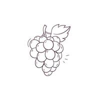 Hand Drawn illustration of grapes icon. Doodle Vector Sketch Illustration