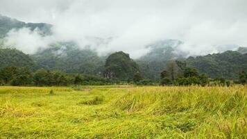 Cloudy view on mountain video