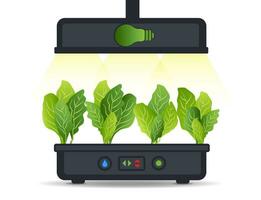 Portable hydroponic aeroponic system for ecofriendly growing of green lettuce, vegetables and herbs. With automatic watering system and phyto lighting. Phytolamp vector