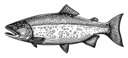 Salmon fish sketch hand drawn in doodle style Vector illustration