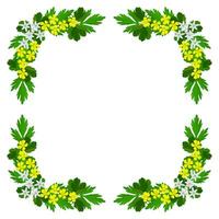Frame, wreath of wild flowers and leaves on a white background vector