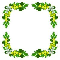 Frame, wreath of wild flowers and leaves on a white background vector