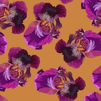 Seamless pattern with flowers of lilac iris on a yellow background vector