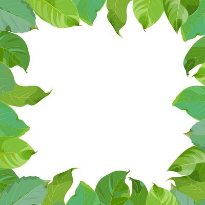 Frame, wreath of green walnut leaves on a white background