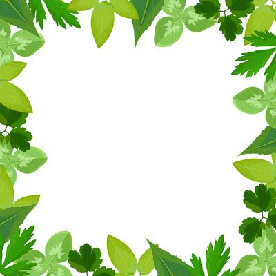 Frame made of leaves of summer wildflowers on a transparent background