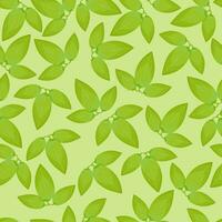 Seamless pattern of green leaves of clematis flowers on a light green background vector