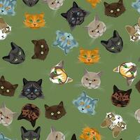 seamless pattern with muzzles of cats on a background of olive color vector