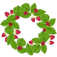 Round wreath, frame of raspberries and green leaves on a white background vector