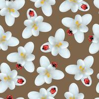 seamless pattern with white crocus flowers and ladybug vector