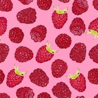 Seamless pattern with ripe raspberries on a pink background vector