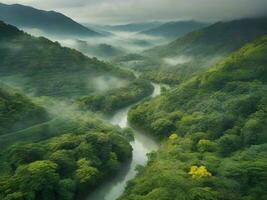 AI generated A view after the rain with lush green trees photo