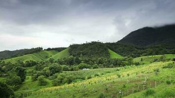 cloudy on sky over the mountain at tropicana video