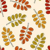 Seamless pattern with autumn acacia leaves in line art, flat style. Perfect for wallpaper, gift paper, pattern fills, web page background, autumn greeting cards. Vector illustration.