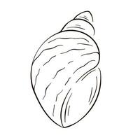 Seashell logo in line art style. Silhouette of seashell icon. Marine dwellers. Vector illustration isolated on a white background.