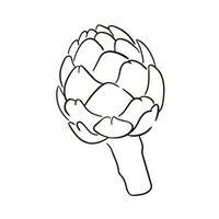 Artichoke line art isolated on white background. Vector artichoke line art.