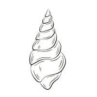 Spiral seashell logo in line art style. Marine twisted sea shell. Underwater shellfish. Vector illustration isolated on a white background.