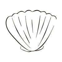 Scallop undersea seashell in line art style. Summer design for logo, icon, shirt, products. Vector illustration isolated on a white background.