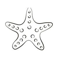 Starfish logo in line art style. Undersea sketch of seashell for icon in outline sketch style. Vector illustration isolated on a white background.