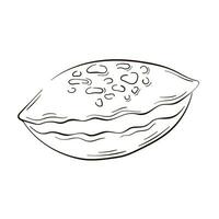 Seashell icon in line art style. Logo for menu, fish restaurant design, spa, surf boards. Vector illustration isolated on a white background.