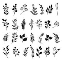 Leaf silhouette set. Flower leaves silhouette set with white background. vector