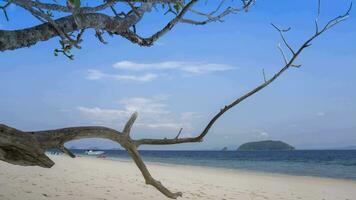 white sand beach againts sky at tropicana video
