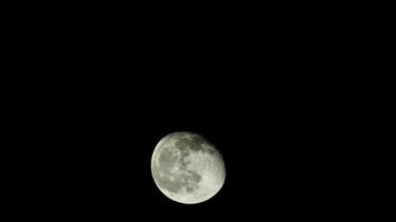 Luna Moviente en el oscuro cielo a noche hora video