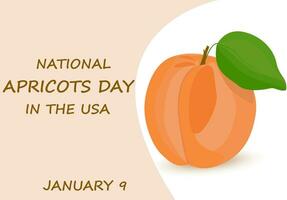 Hand drawn whole apricot fruit with leaf. National Apricot Day in the USA.January 9. Cartoon flat design. Vector illustration