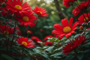 ai generado rojo margarita flores en el jardín. floral antecedentes. rojo flores generativo ai foto