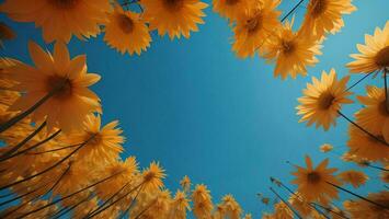 AI generated Yellow daisies on a blue sky background. generative ai photo