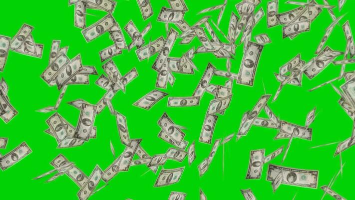 Money Green Screen Stock Video Footage for Free Download