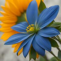 ai generado hermosa azul y amarillo flores en un gris fondo, de cerca. generativo ai foto
