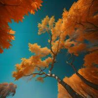 AI generated Autumn trees on a blue sky background. generative ai photo