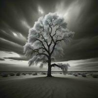AI generated Frozen tree in the desert at sunset. generative ai photo