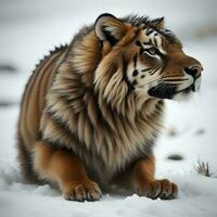 AI generated Siberian Tiger, Panthera tigris altaica. generative ai photo