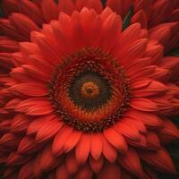 AI generated Beautiful red gerbera flower close-up. Floral background. generative ai photo