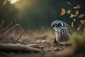 AI generated Red-billed Quail, Sparrow in nature. generative ai photo