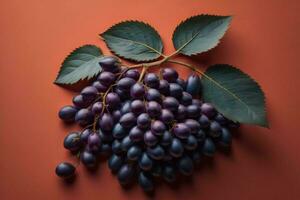 AI generated Bunch of purple grapes with green leaves on a red background. generative ai photo