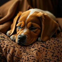 AI generated Cute Beagle puppy sleeping on a pillow. Close up.generative ai photo